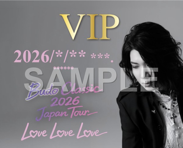 VIPオリジナルパス